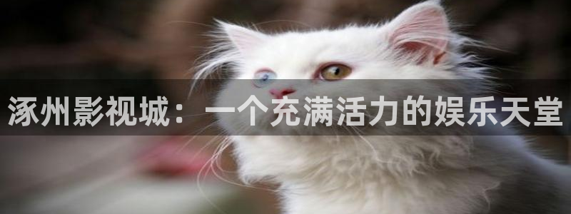 51视频www：涿州影视城：一个充满活力的娱乐天堂