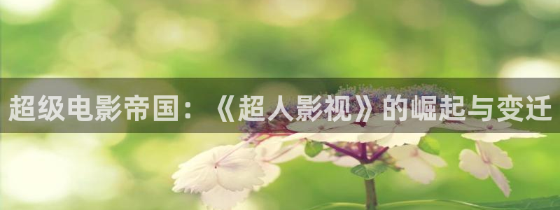 51视频免费入口：超级电影帝国：《超人影视》的崛起与变迁