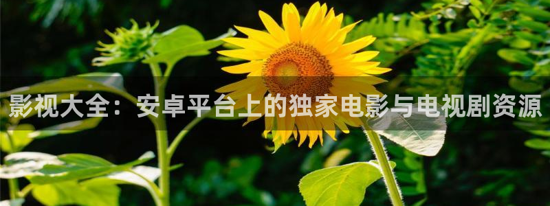 51视频观看免费完整版视频：影视大全：安卓平台上的独家电影与电视剧资源