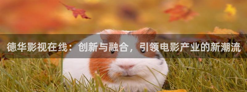 51视频观看免费完整版视频：德华影视在线：创新与融合，引领电影产业的新潮流