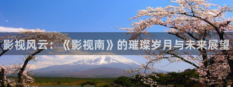 51视频在线观看网站：影视风云：《影视南》的璀璨岁月与未来展望