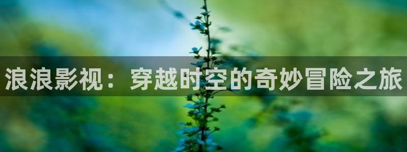 51视频免费在线：浪浪影视：穿越时空的奇妙冒险之旅