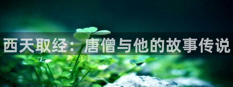 51视频免费观看下载：西天取经：唐僧与他的故事传说