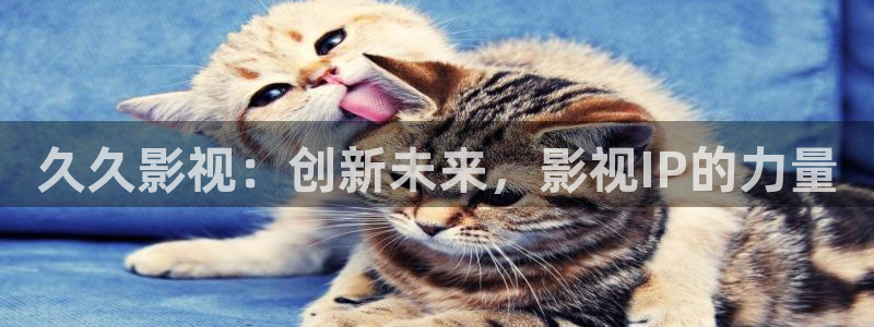 51视频网在线观看：久久影视：创新未来，影视IP的力量